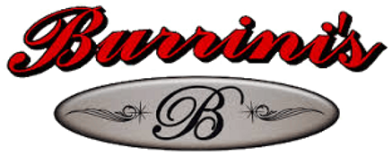 Burrini's & Sons Contracting LLC logo