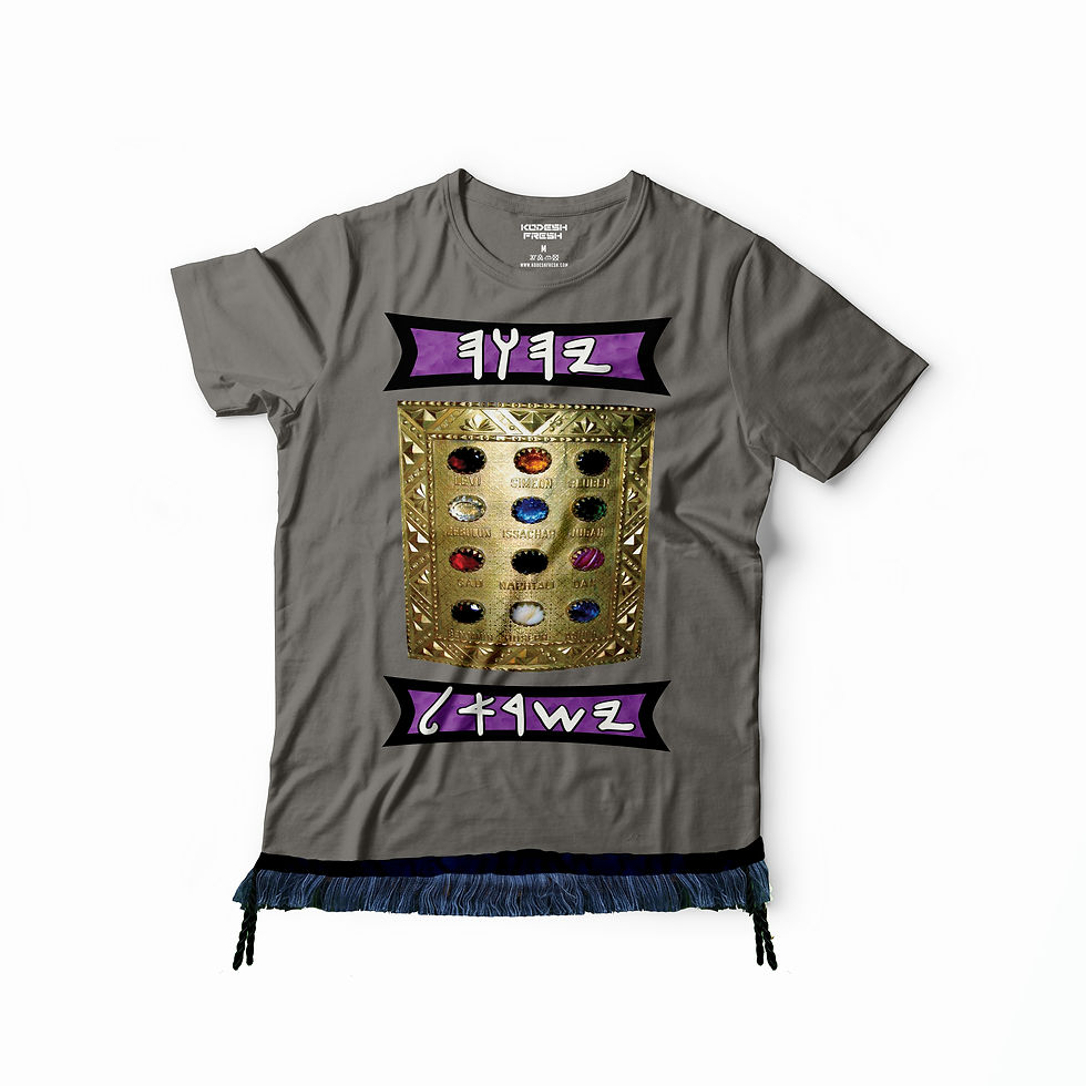 Thumbnail: Ephod 12 Stones T-shirt