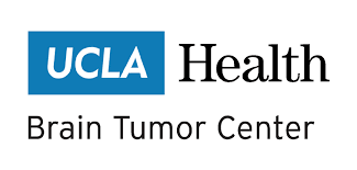 lisa & jeff cohen brain tumor research fund 