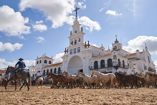 Saca-de-las-Yeguas-7.jpg