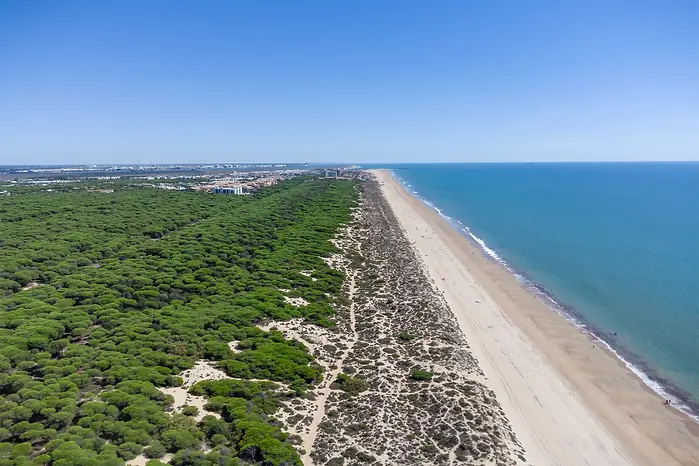 playa-enebrales-huelva.webp