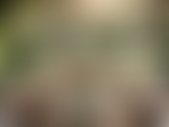 Ontdek de unieke catering van De Veluwse Boer