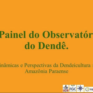 I Painel do Observatório do Dendê