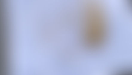 Projectweek: een terugblik