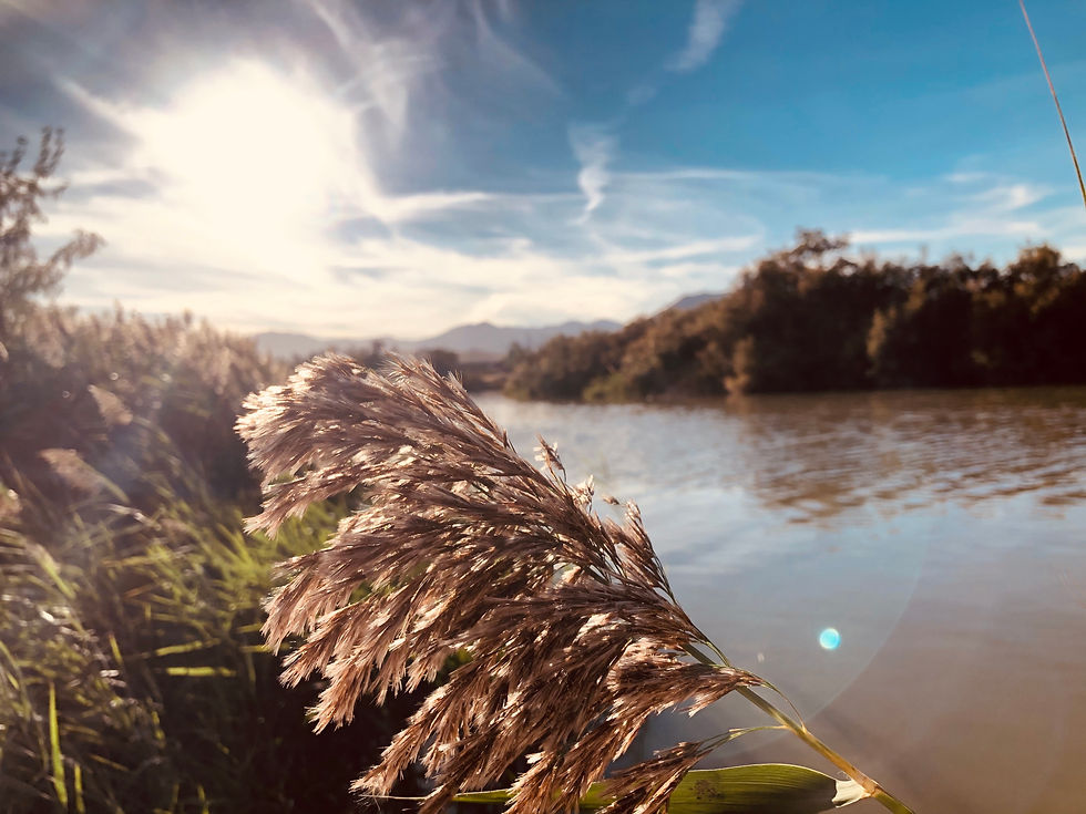 Don't let anyone tell you what you can and can't take pictures of