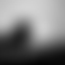 Leaders. Do we need them?