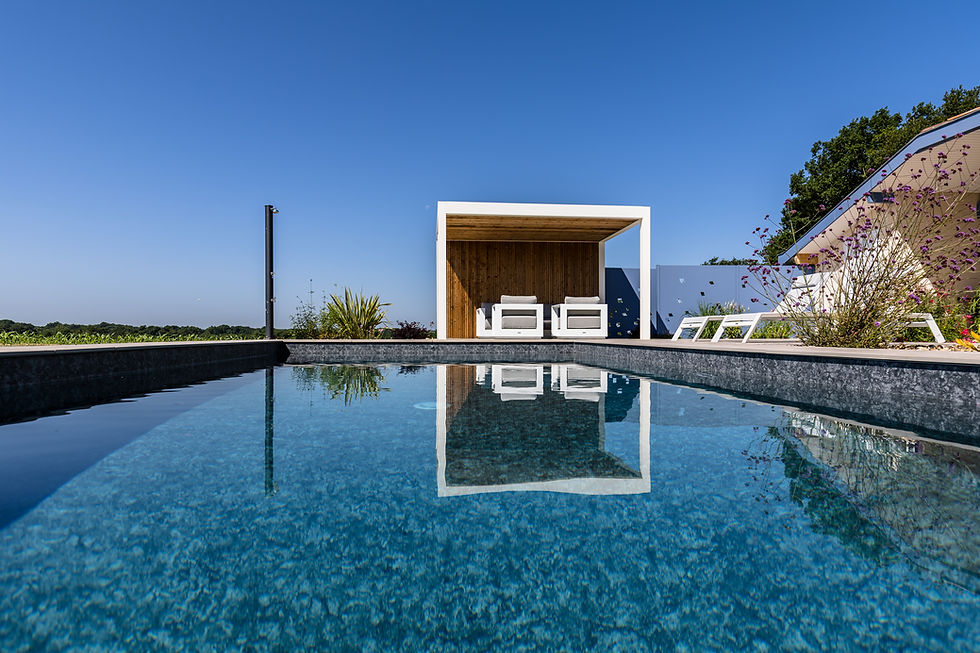 L'Impact des Images de Haute Qualité sur l'Image de Marque