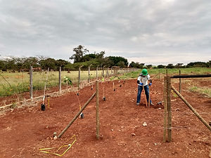 compensação ambiental.jpeg
