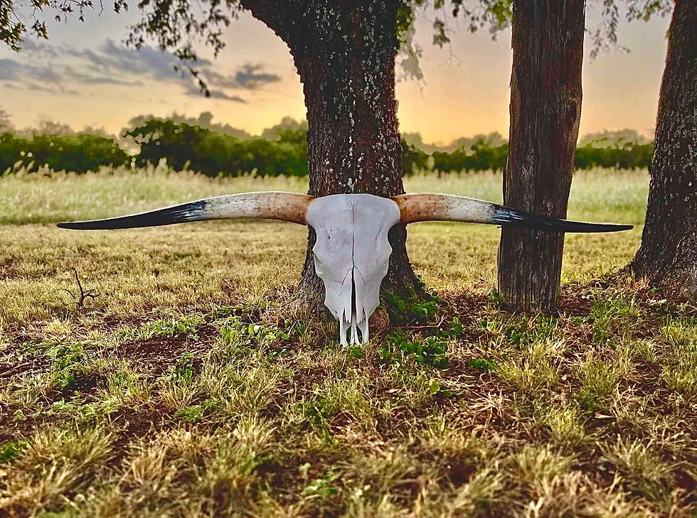 Euro Mounts GrassFed Beef