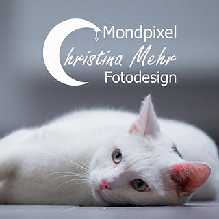Autorenbild: Christina Mehr