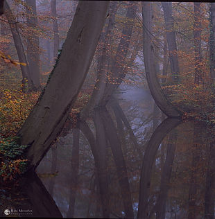 rami menashes fine art photography
