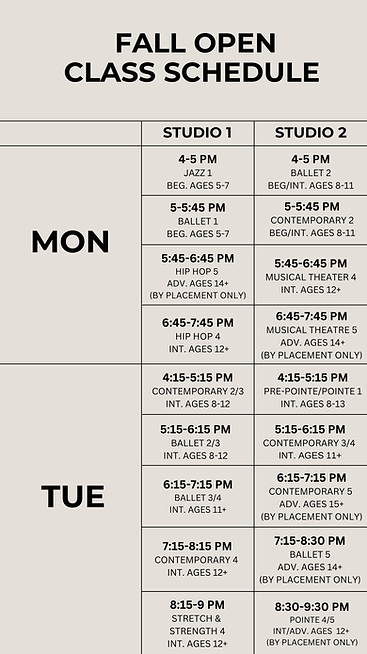 Beige Minimalist Weekly Schedule Instagram Story (8).png