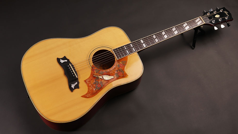 Greco 303 Dove Natural 1975 Fujigen