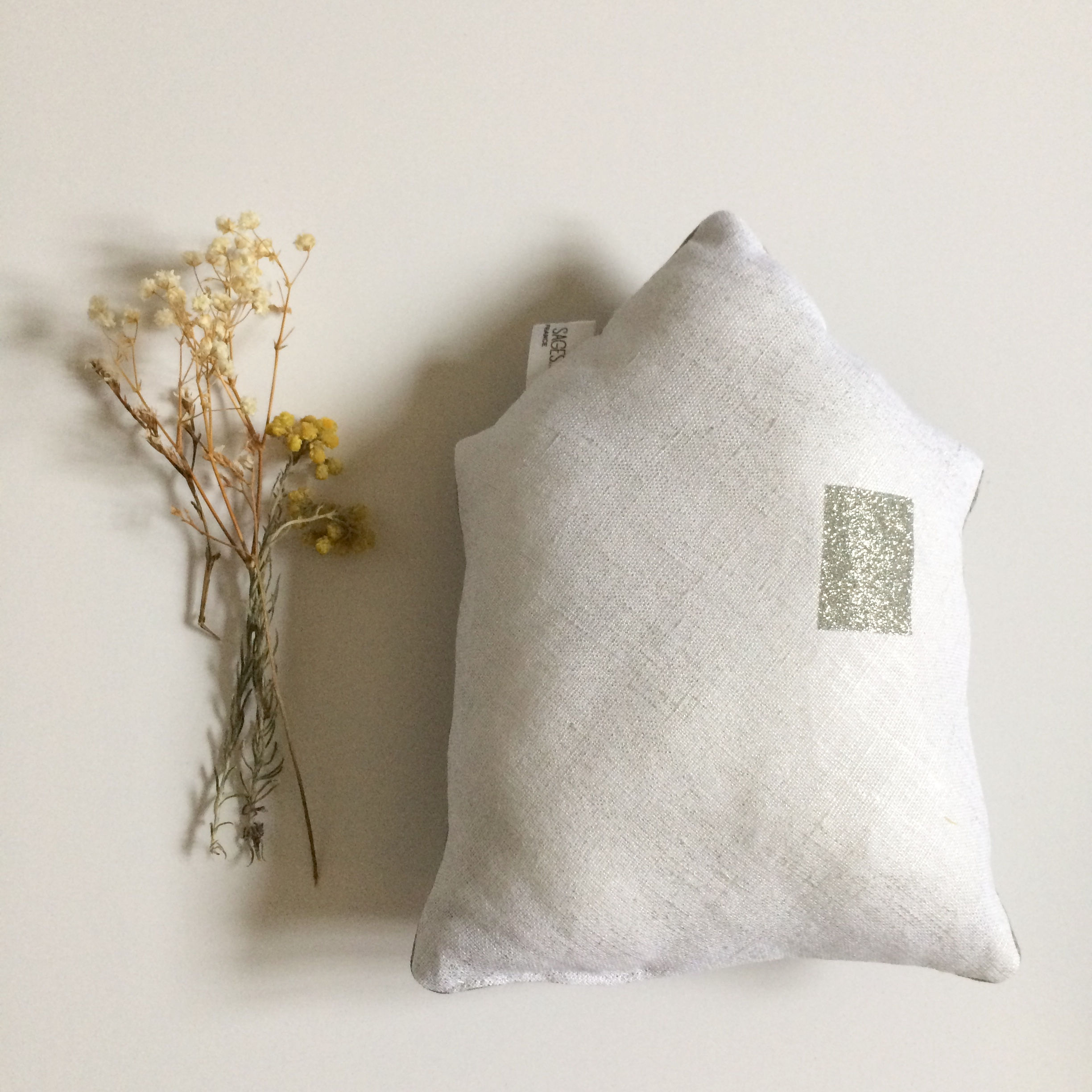 Coussin maison Mes enfants Pas si sages