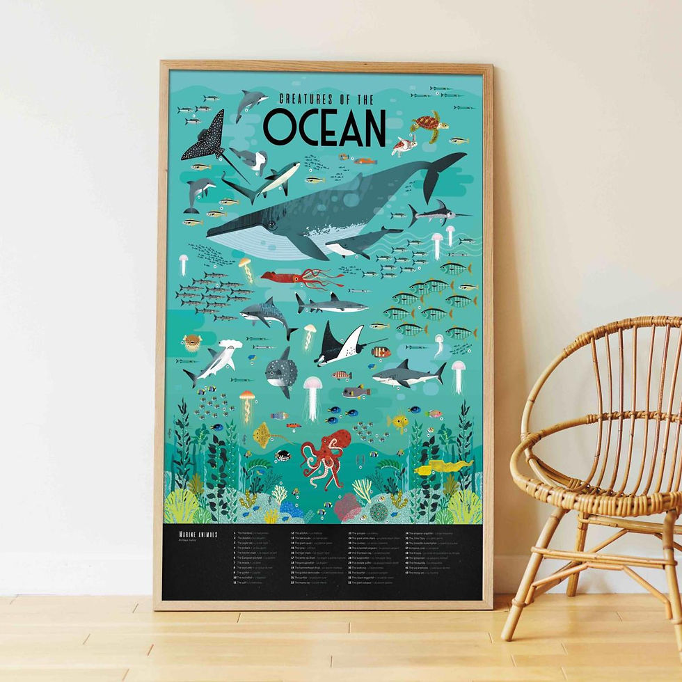 Miniature : Poster géant Océans + stickers  - Poppik