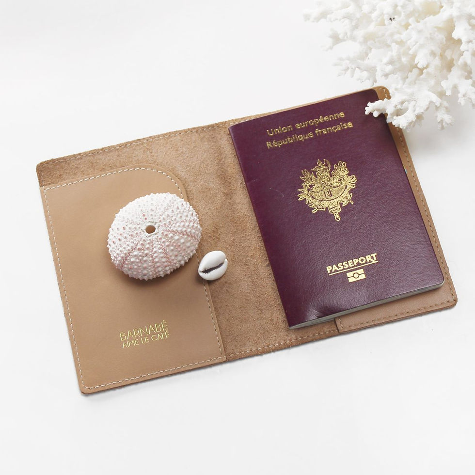 Miniature : étui passeport barnabé aime café taupe