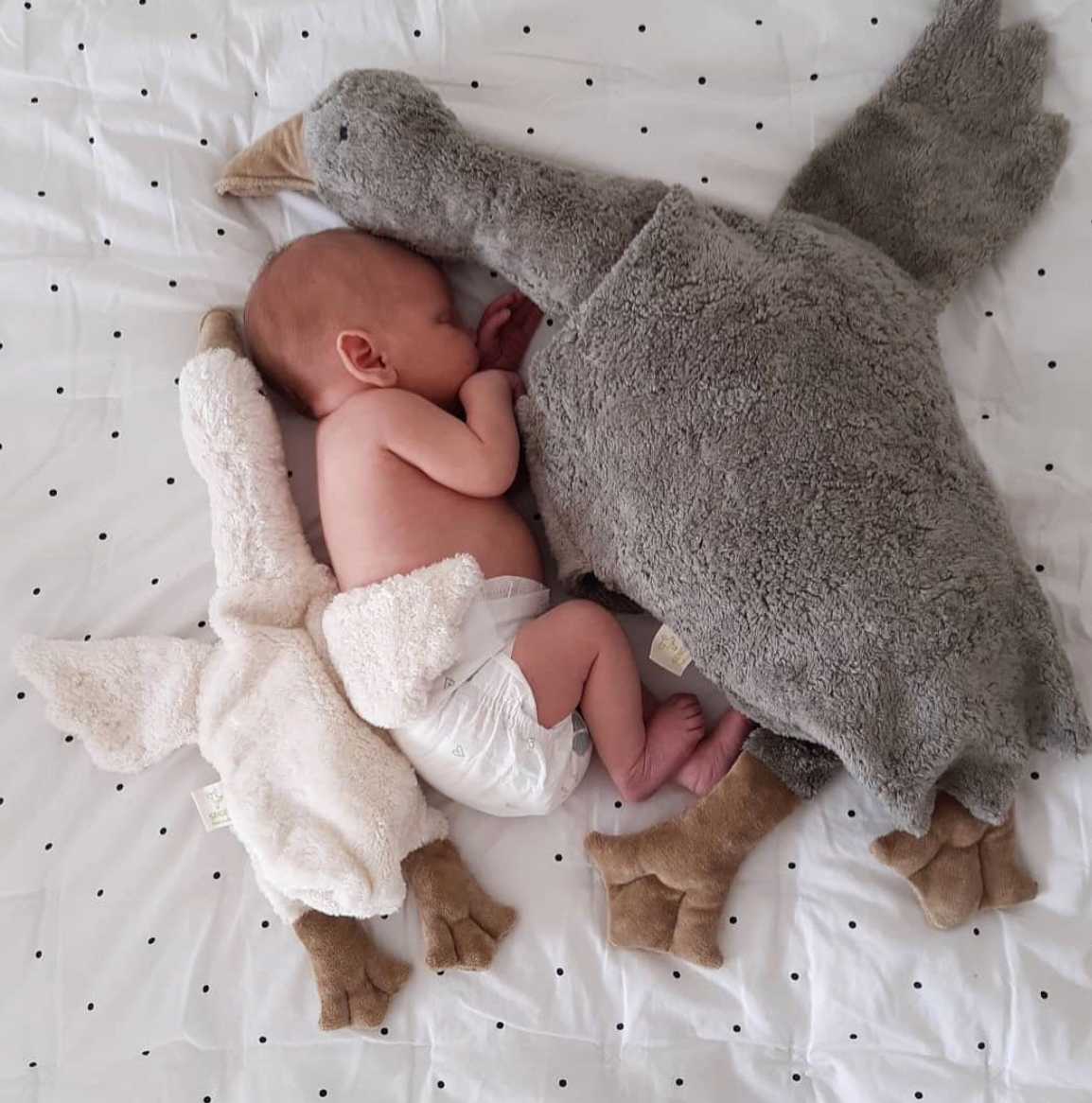 oie bouillotte senger naturvelt grande grise