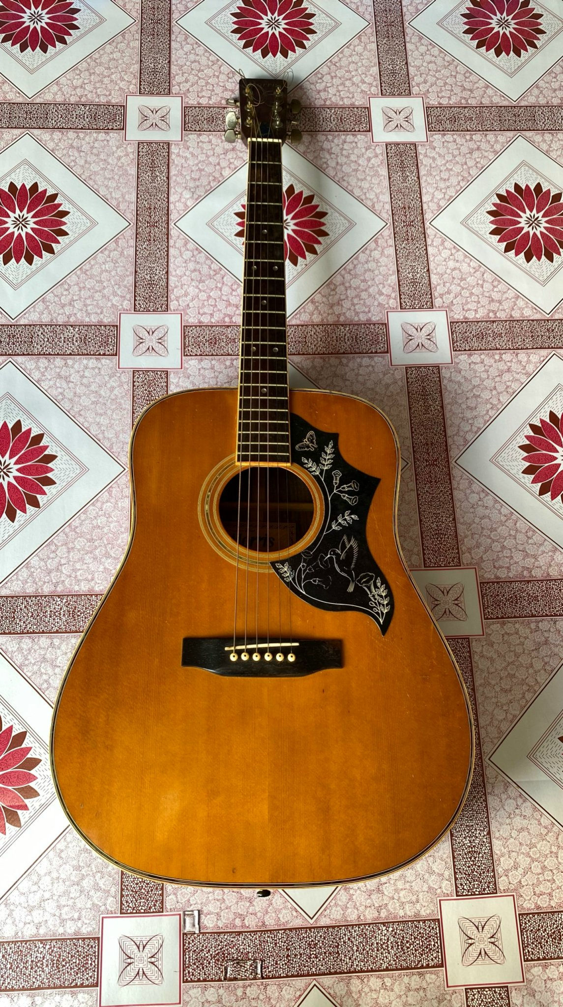 GUITAR MORRIS W-30 