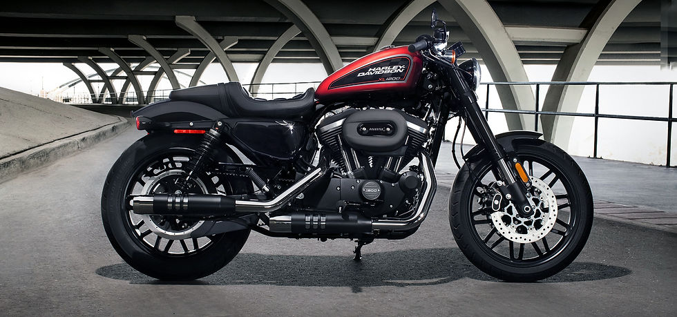 www.ec-reprog-harley.jpg