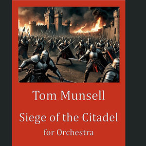 Siege of the Citadel
