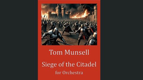 Siege of the Citadel