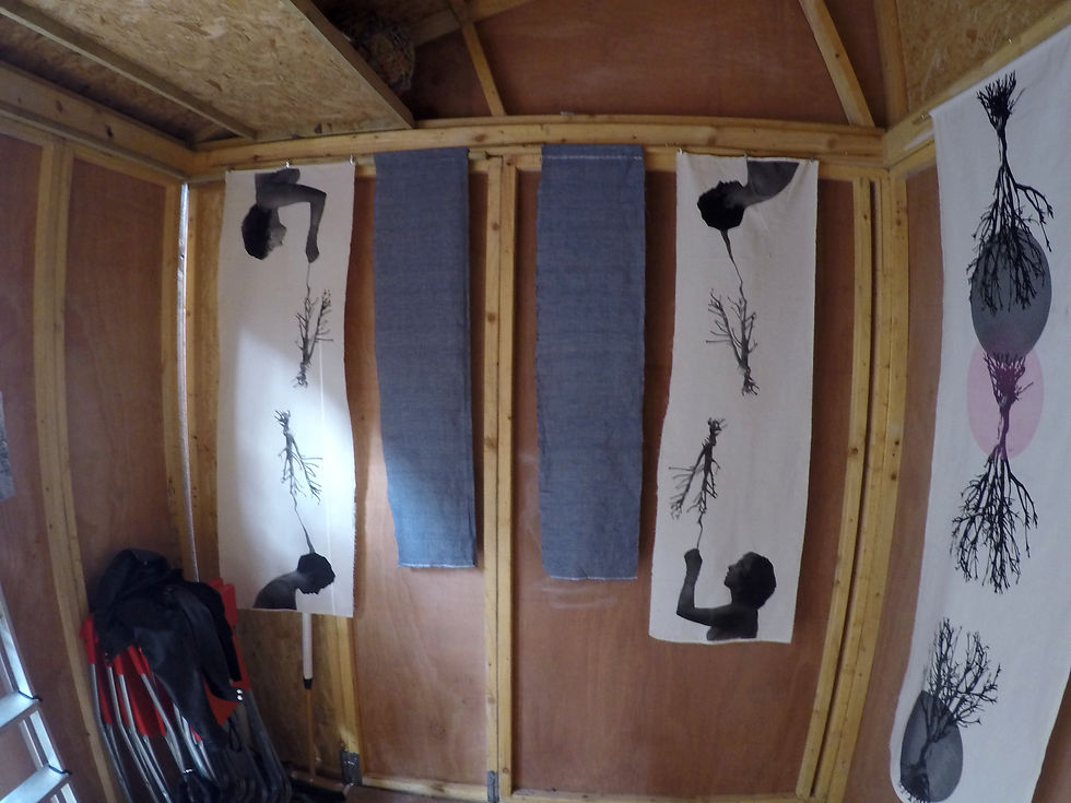 Consuelo Art Shed Installation ~ Left Si