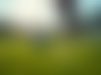 Get In on the Action: Silicon Valley Soccer Games