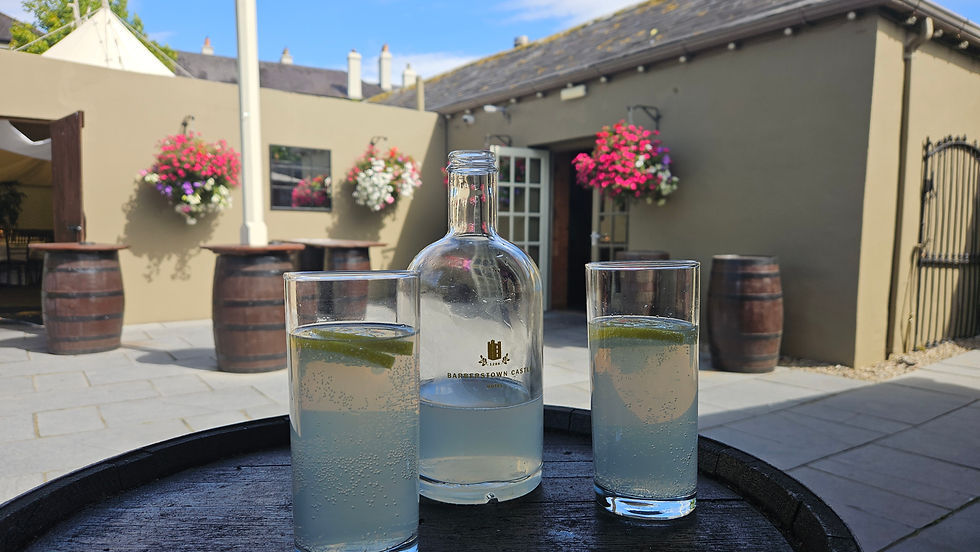 Easily the best lemonade i've ever had. On the house at the very kind team at Barberstown Castle before a wedding reception. You always feel a little bit more relaxed before the performance when you're looked after like this!