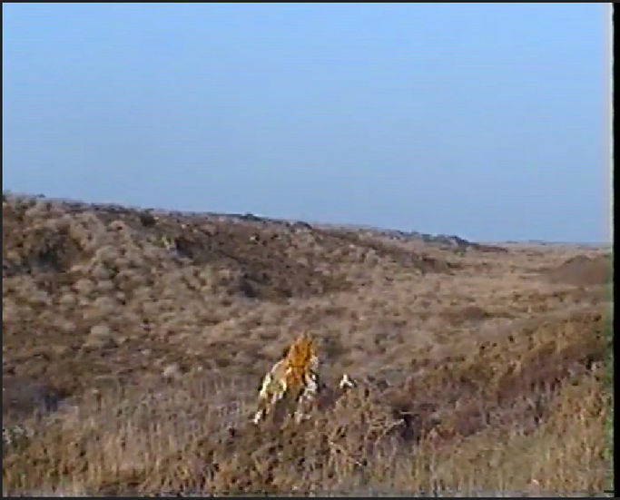 MY MOTHER TOLD ME TO WRITE DOWN MY THOUGHTS, 2019