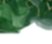 Texture_edited.jpg