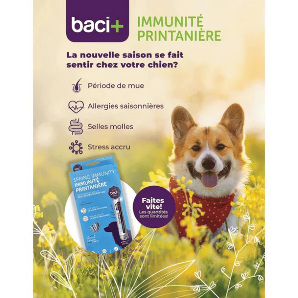 Animalerie Animal Expert StBruno Accessoires chiens chats et