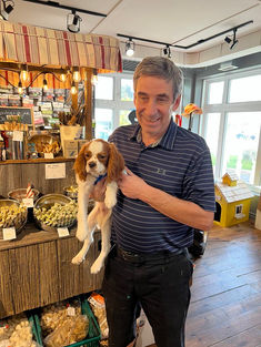 cavalier king charles vendu Animal Expert Beloeil