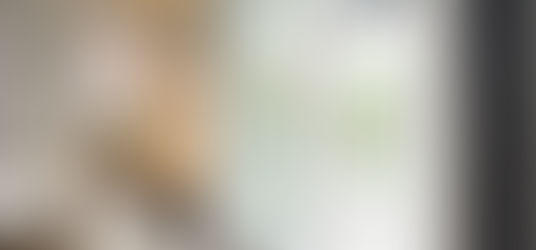 Pourquoi les fenêtres blanches ne se démodent-elles jamais?Les avantages et la promotion VST!