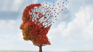L' Alzheimer: The memory thief - what can be done to preserve our memory?