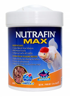 Nutrafin Max - Nourriture en flocons pour poissons rouges | NUTRAFIN