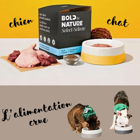 BOLD NATURE chez Animal Expert Beloeil