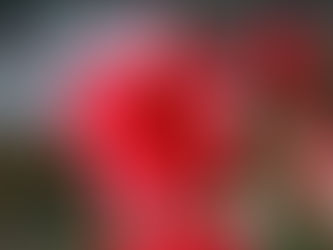 Gardening Jobs for September