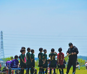 IMG_8988_edited.jpg