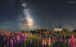 Dream to the Church of Good Shepherd