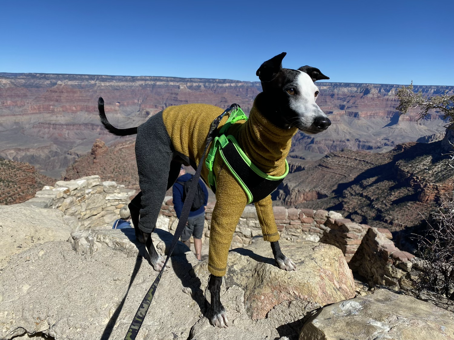 Is The Grand Canyon Hike Part of Your Bucket List? content media