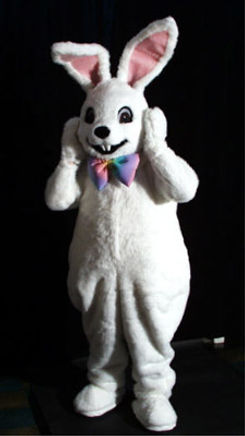 bunny1.jpg