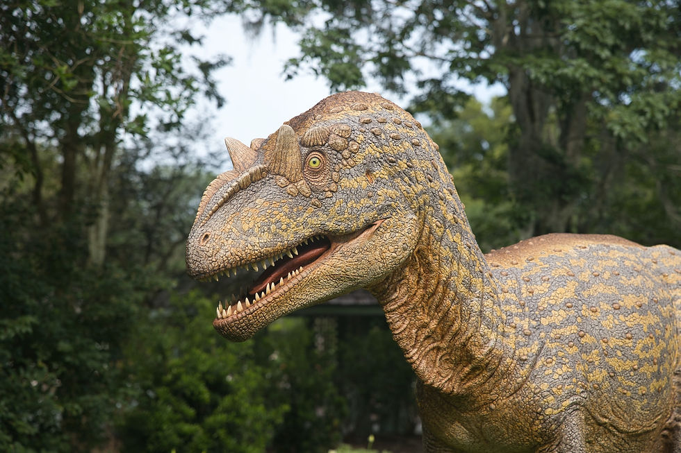 Leu Gardens in Orlando