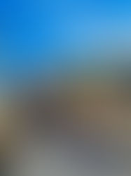 Poland Uncovered: Cities, Nature, and Traditions