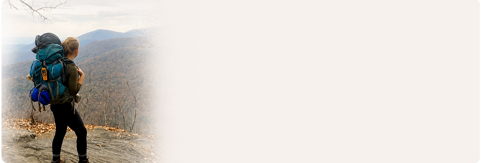 Wholesale (25).png