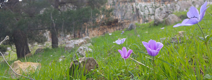 20220216_123052_edited.jpg