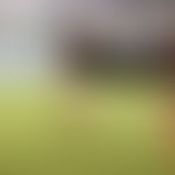 FC Junitas startet den Trainingsbetrieb