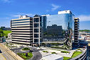 Jungle Law Criminal and Employment Law Firm Kansas CIty Office 