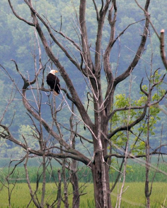 28485_125388730835067_5678190_n