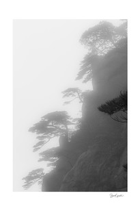 Photographie de pics granitiques du Huangshan dans le brouillard.