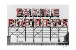 Photographie en noir et blanc du moulin à farine historique Five Roses situé à l’entrée de la ville de Montréal. Seuls ses populaires néons rouges ont gardés leurs couleurs dans l'image.